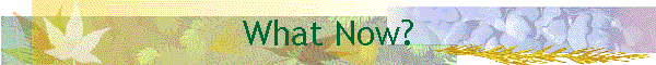 What Now?